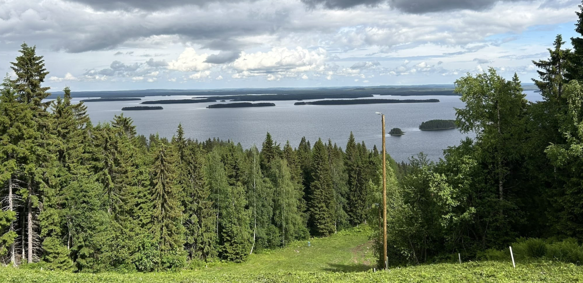 Koli National Park Trails: