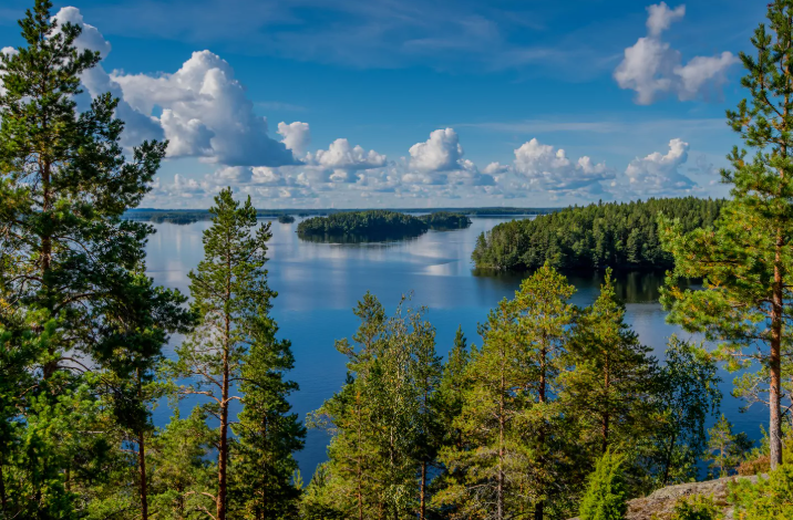Linnansaari National Park Trail