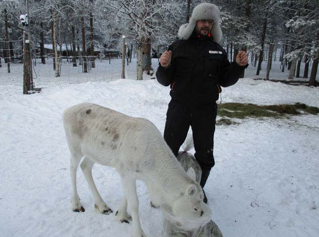 Learn Finnish Phrases Before Your Trip